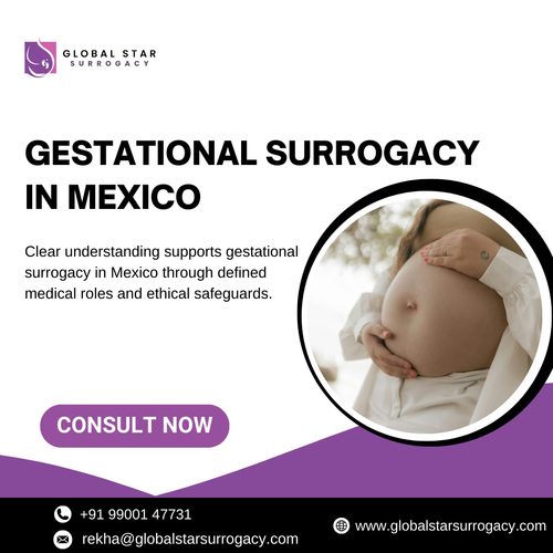 Gestational Surrogacy in Mexico.png