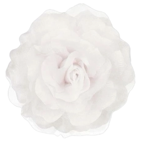 IMG 20260209 075328.png