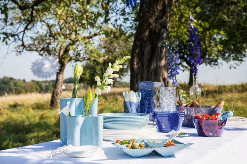 «Профессиональная посуда для столовой: особенности и выбор».jpg