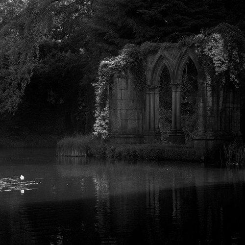 Image 1770598964610 96.jpg