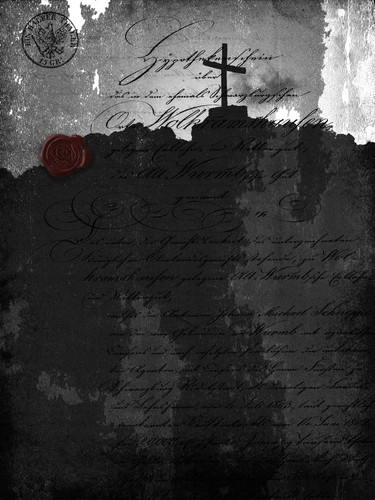 Image 1770198519188 755.jpg