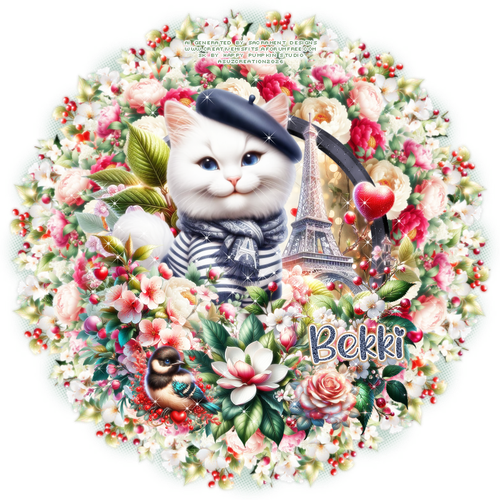 Bekki pariswithlovecattag1bysuz.png
