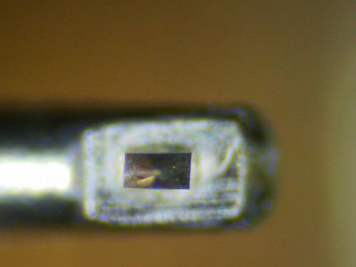 2026 0205 150834 021