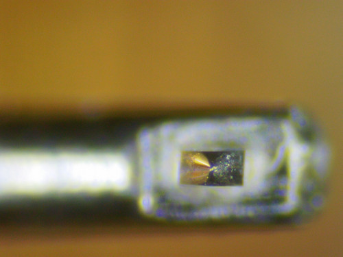 2026 0205 151051 022