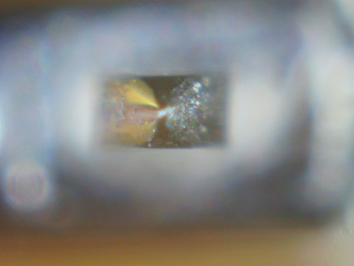 2026 0205 151711 024