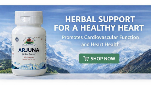 Ayurvedic Supplements for Heart Problems.jpg