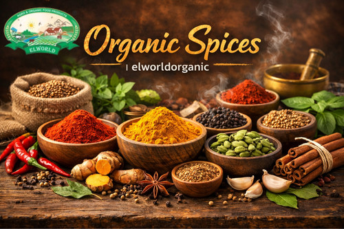 Organic spices | elworldorganic.jpg