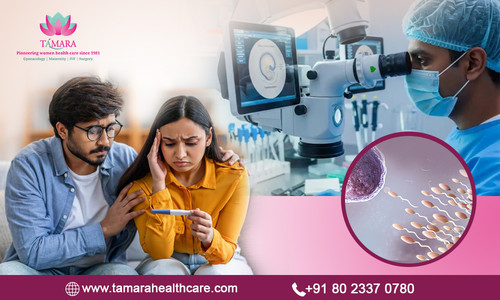 Role of the Best IVF Specialist Doctor in Successful Pregnancy - Tamara Hospital & IVF Center.jpg