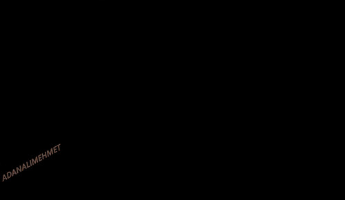 VF.jpg