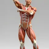 image mzaFjjTnCaty92BJXTmnJ