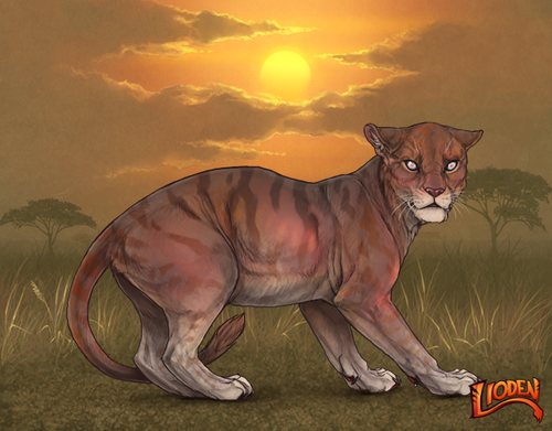 lion 794258958189.png