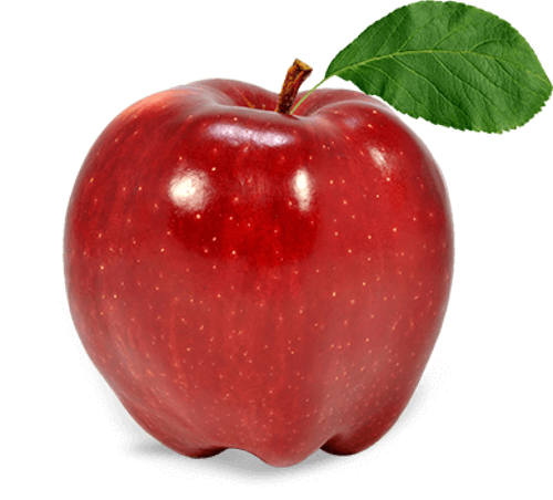 apple fruit apple e6ec8ba6a6ccf1af58f6d52fc24bb863.png