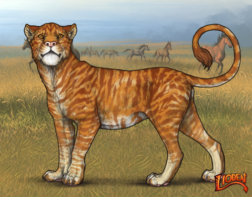 lioden wardrobe 2026 02 09T144647.639.png