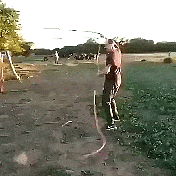 fpQfhWQ.gif