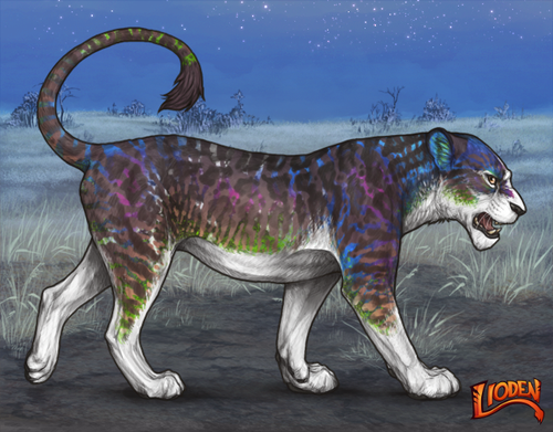 lioden wardrobe 2026 02 09T144355.649.png