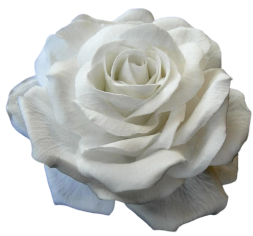 IMG 20260209 072203.png