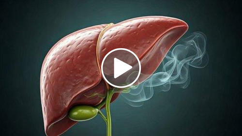 liver1525.png