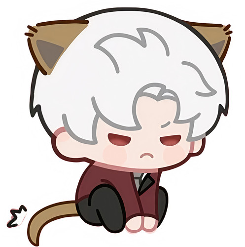 IMG 20260209 165328.jpg