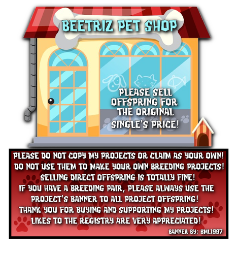 beetriz pet shop registry