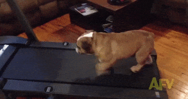fpZycUG.gif
