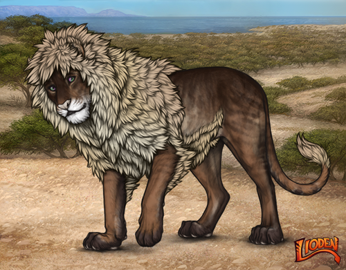 lioden wardrobe 2026 02 08T215226.370.png