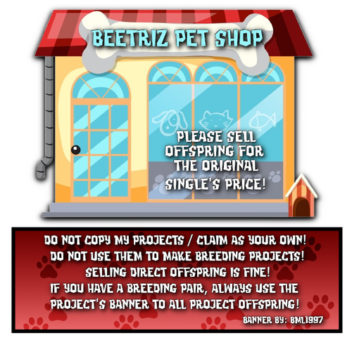 beetriz pet shop registry
