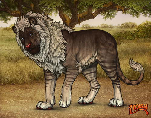 lioden wardrobe 2026 02 08T213238.405.png