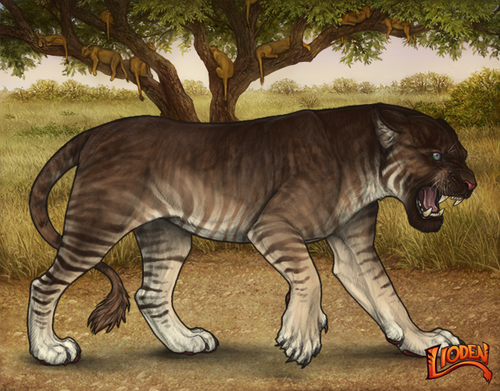 lioden wardrobe 2026 02 08T213259.434.png