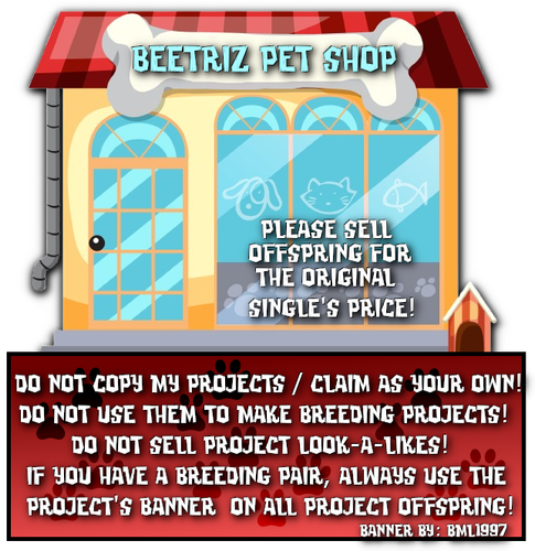beetriz pet shop registry
