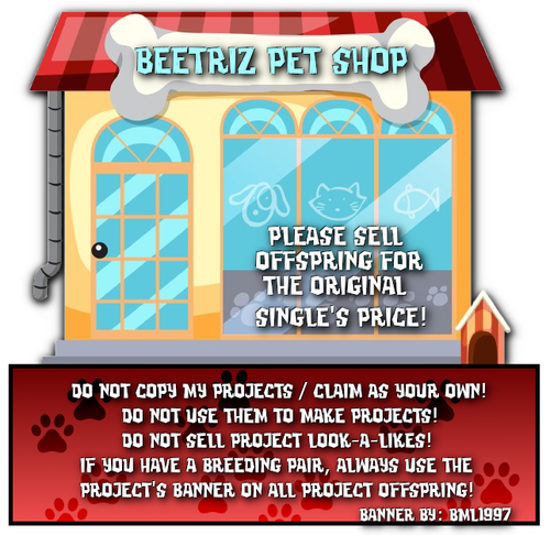 beetriz pet shop registry