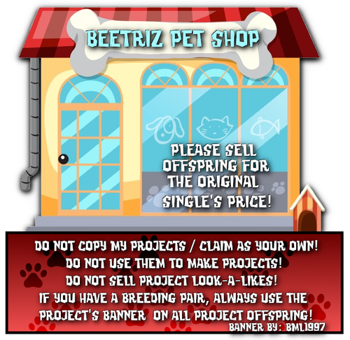 beetriz pet shop registry