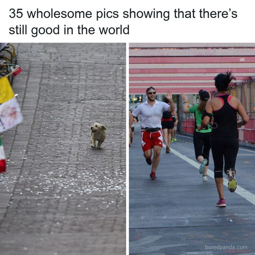 brighter side humanity.jpg