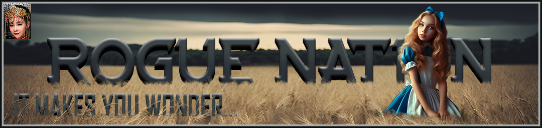 Rogue-Nation Discussion Board