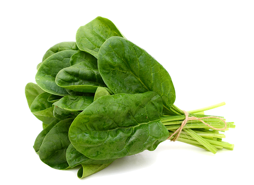 spinach leaf vegetable food stock photography vegetable 93a598f812dae3572ce9e247acb257d0.png