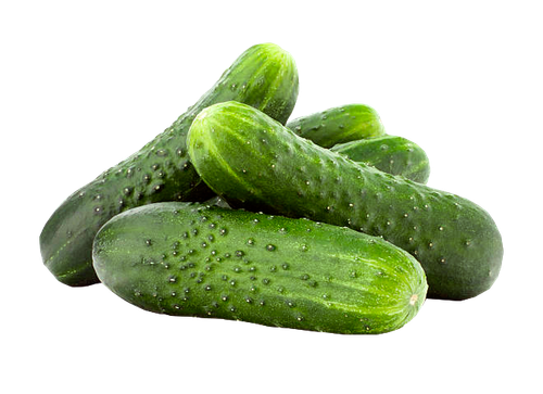 pickled cucumber vegetable fruit salad cucumber ffe53104d69ae5811dca096475533716.png