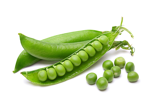chickpea vegetable legume fruit peas vegetable hq pictures f680b34115d12206e4672c2e367f0c1d.png