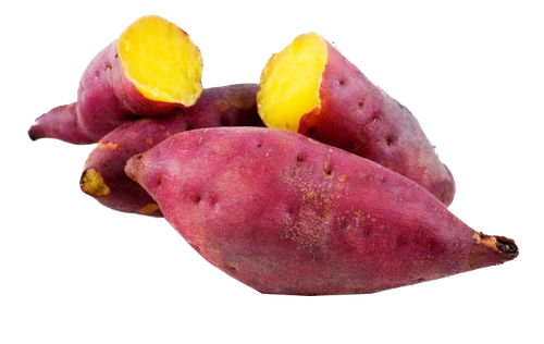 sweet potato nutrition vegetable yam sweet potato 1940b71230ddc9ff78f5daa0c4d59157.png