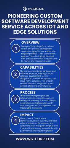 Pioneering Custom Software Development Service across IoT and Edge Solutions.jpg