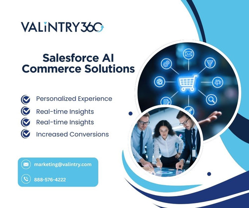 Salesforce AI Commerce Solutions.jpg