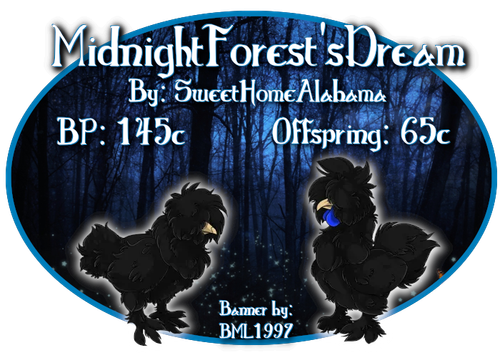 midnightforestsdream