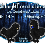 midnightforestsdream