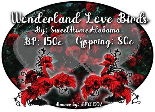 wonderland love birds