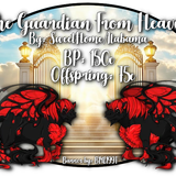 the guardian from heaven