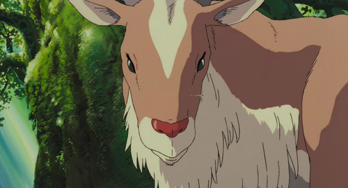 vlcsnap 2026 02 09 20h27m34s789.png