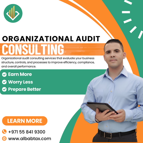 Organizational auditconsulting.png