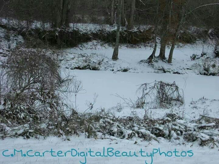 d28a7a25 bc54 4e2e a98a aa127d790b0f