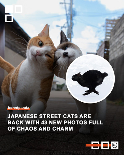 Community share (6).jpg