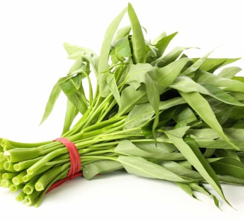 500 spinach seeds xl 430 vibex o.jpg