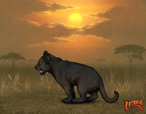 lion 794260712117.png