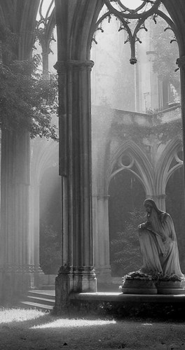 IMG 20260209 024406.jpg